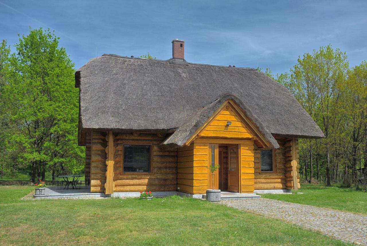 Dom Pod Sosnami Villa Gryżyna Dış mekan fotoğraf