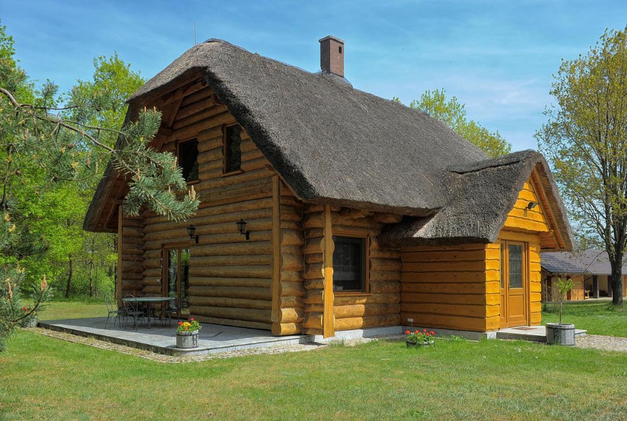 Dom Pod Sosnami Villa Gryżyna Dış mekan fotoğraf