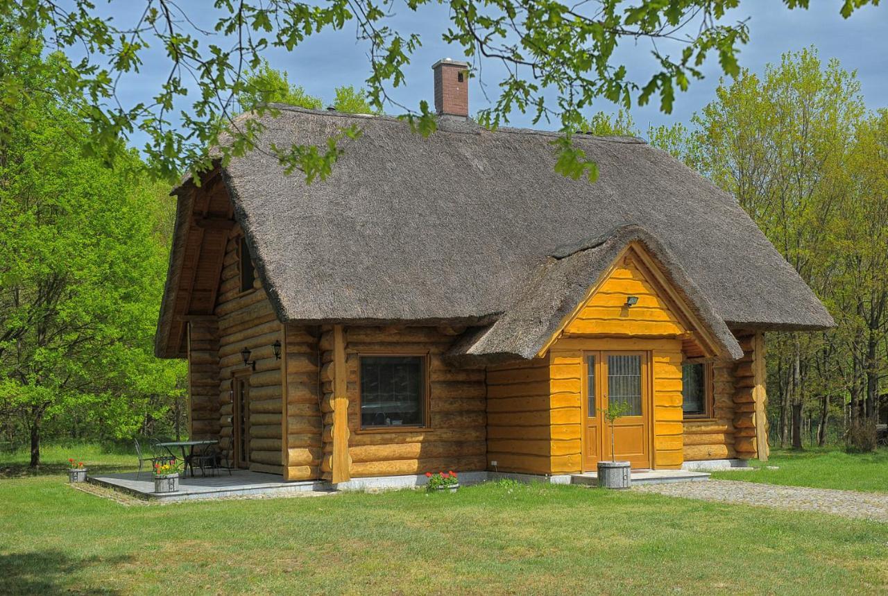 Dom Pod Sosnami Villa Gryżyna Dış mekan fotoğraf