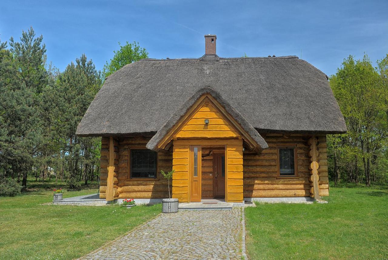 Dom Pod Sosnami Villa Gryżyna Dış mekan fotoğraf