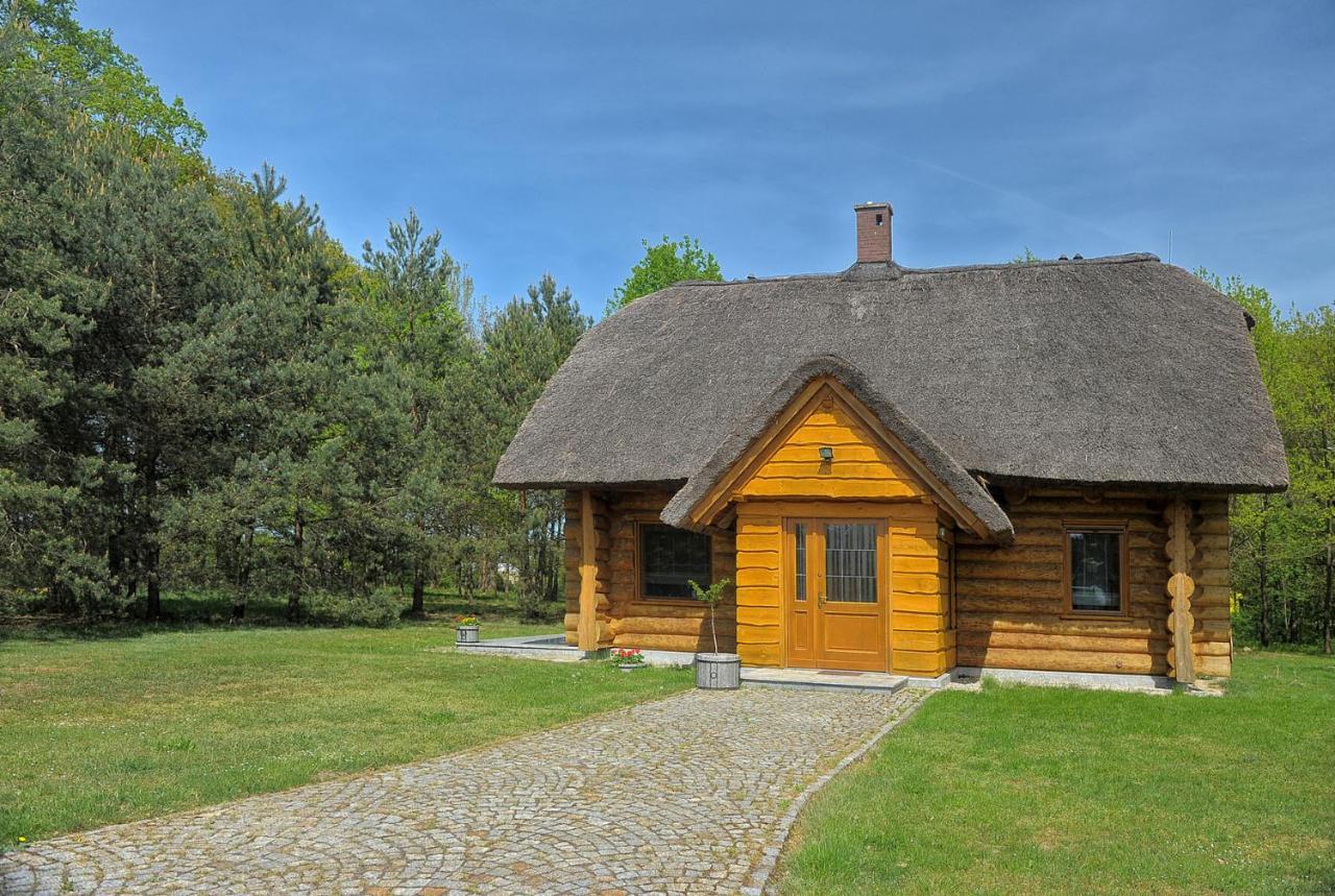 Dom Pod Sosnami Villa Gryżyna Dış mekan fotoğraf